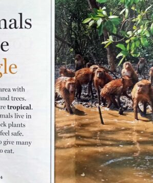 Alternative view of A streak of tigers