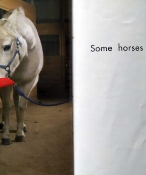 Alternative view of All about pets: horses