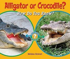Alligator or crocodile: how do you know?