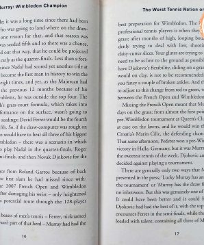 Alternative view of Andy Murray: Wimbledon champion