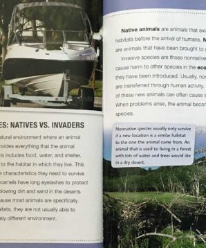 Alternative view of Animal invaders