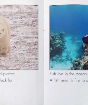 Alternative view of Animals and their habitats