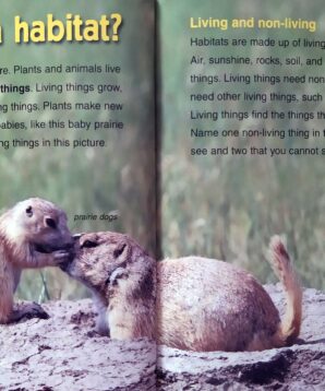 Alternative view of Baby animals in grassland habitats