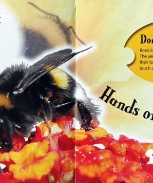 Alternative view of Bee menu