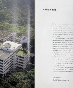 Alternative view of Beyond degrees: the making of the National University of Singapore