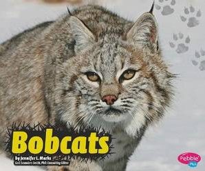 Bobcats