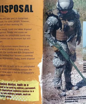 Alternative view of Bomb and mine disposal officers