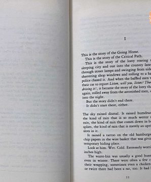 Alternative view of The Bromeliad