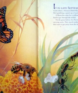 Alternative view of Bugs and bugsicles: insects in the winter