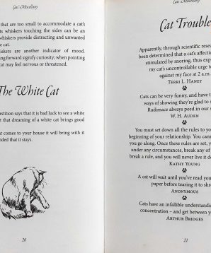 Alternative view of Cats' miscellany