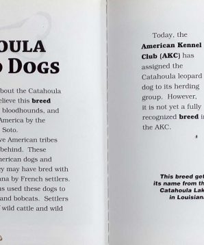 Alternative view of Catahoula Leopard Dogs