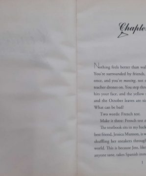 Alternative view of Cinderella cleaners: prep cool