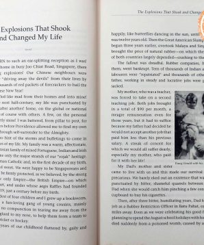 Alternative view of Colliding worlds: memoirs of a Singapore maverick