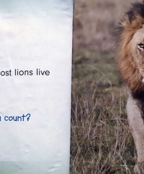 Alternative view of Counting lions