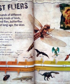 Alternative view of Wild age: creatures of the sky