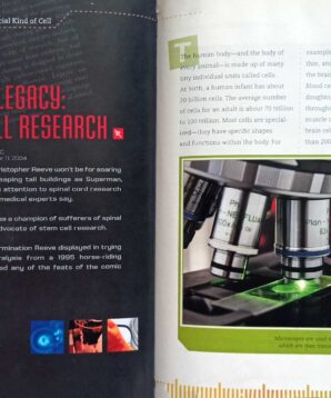 Alternative view of Cure quest: the science of stem cell research