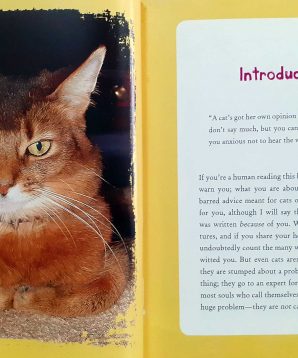 Alternative view of Dear Sparkle: cat to cat advice