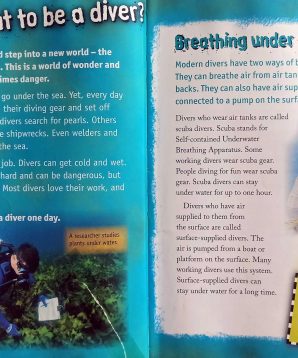 Alternative view of Divers