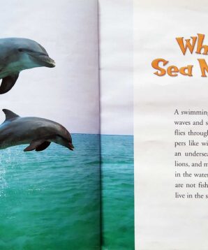 Alternative view of Dolphins, seals, and other sea mammals