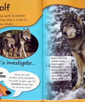 Alternative view of Dr Bob's amazing world of animals: wolves