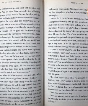 Alternative view of Fire: tales of elemental spirits