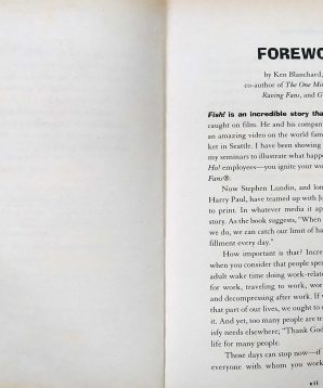 Alternative view of Fish: a remarkable way to boost morale and improve results