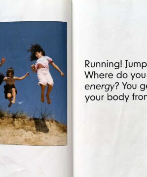 Alternative view of Food chains