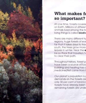 Alternative view of Forests under threat