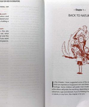 Alternative view of Fun for kids in Singapore