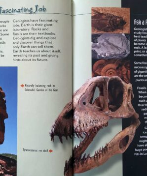 Alternative view of Geologists