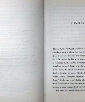 Alternative view of The ghost of Grania O'Malley