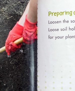 Alternative view of Growing a garden