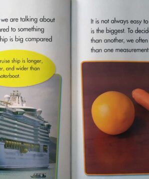 Alternative view of How big is big: comparing plants