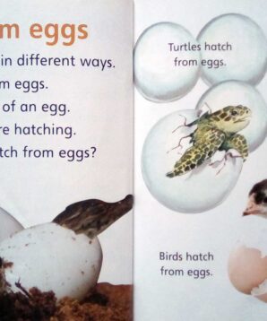 Alternative view of How do animals change?