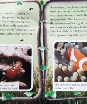 Alternative view of I need you and you need me