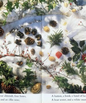 Alternative view of I spy year round challenger