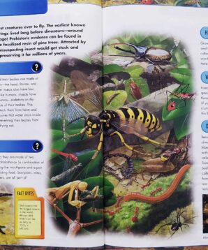 Alternative view of Incredible insects: answers to questions about miniature marvels