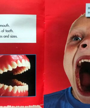 Alternative view of Inside your mouth