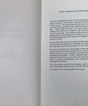 Alternative view of Irelands Magdalen