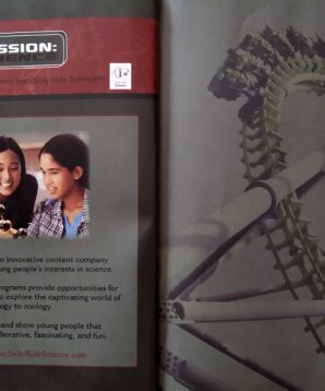 Alternative view of Isaac Newton: groundbreaking physicist and mathematician