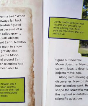 Alternative view of Isaac Newton and gravity