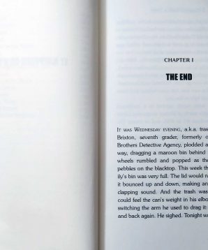 Alternative view of Brixton Brothers: it happened on a train