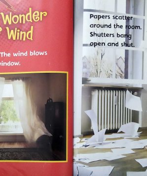 Alternative view of It's windy today