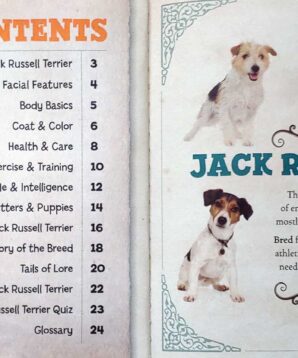 Alternative view of Jumping Jack Russell Terriers