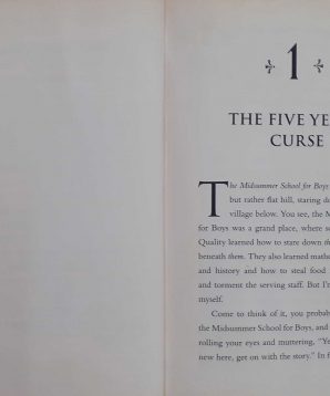 Alternative view of Knightley academy