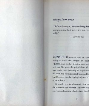 Alternative view of Luminous