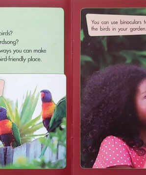 Alternative view of Making a bird-friendly garden