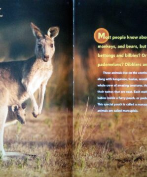 Alternative view of Marsupials