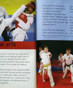 Alternative view of Martial arts