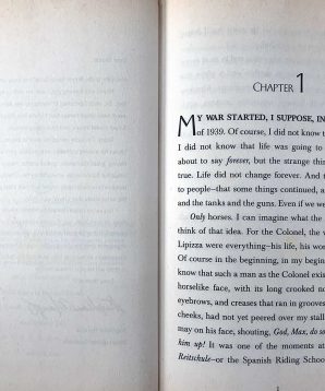 Alternative view of Mercury's flight